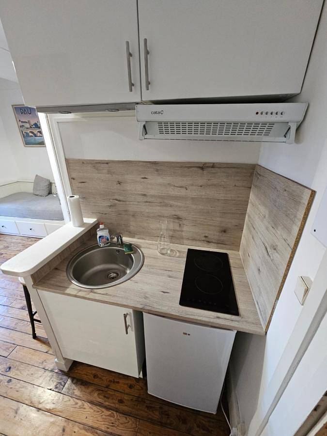 Appartement entier, Le Henri Iv - hyper centre - quartier du château in Pau, Béarn