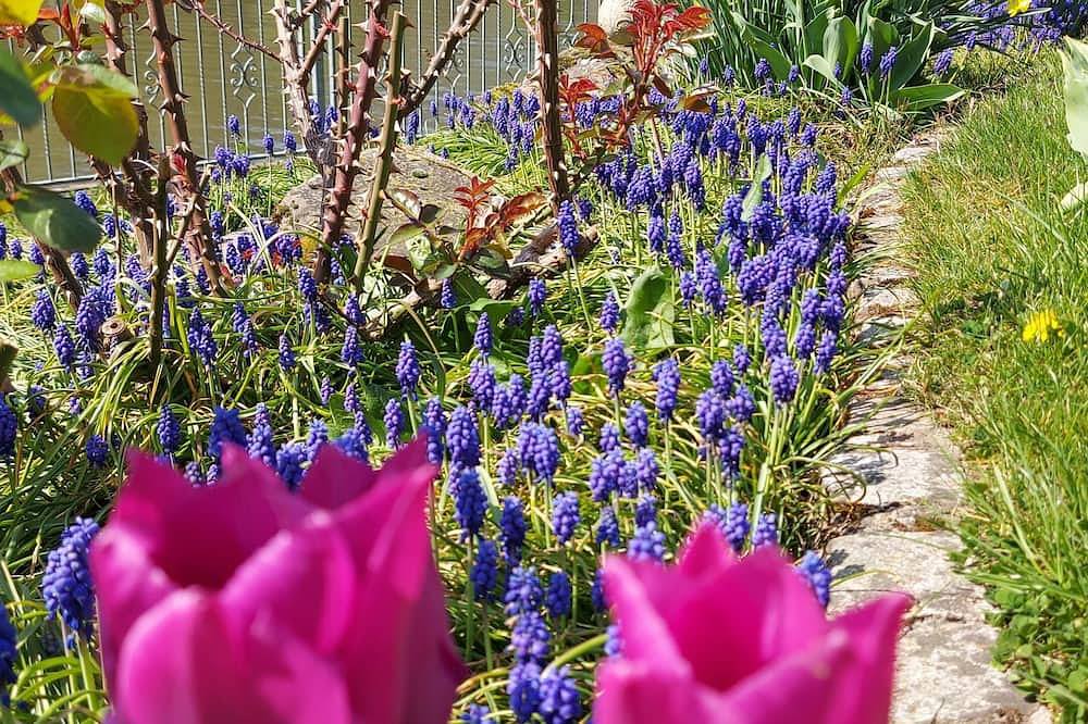 Ganze Wohnung, Neckaridylle mit Burgenblick in gehobener Fewo und überdachter Terrasse in Neckarsteinach, Bergstraße