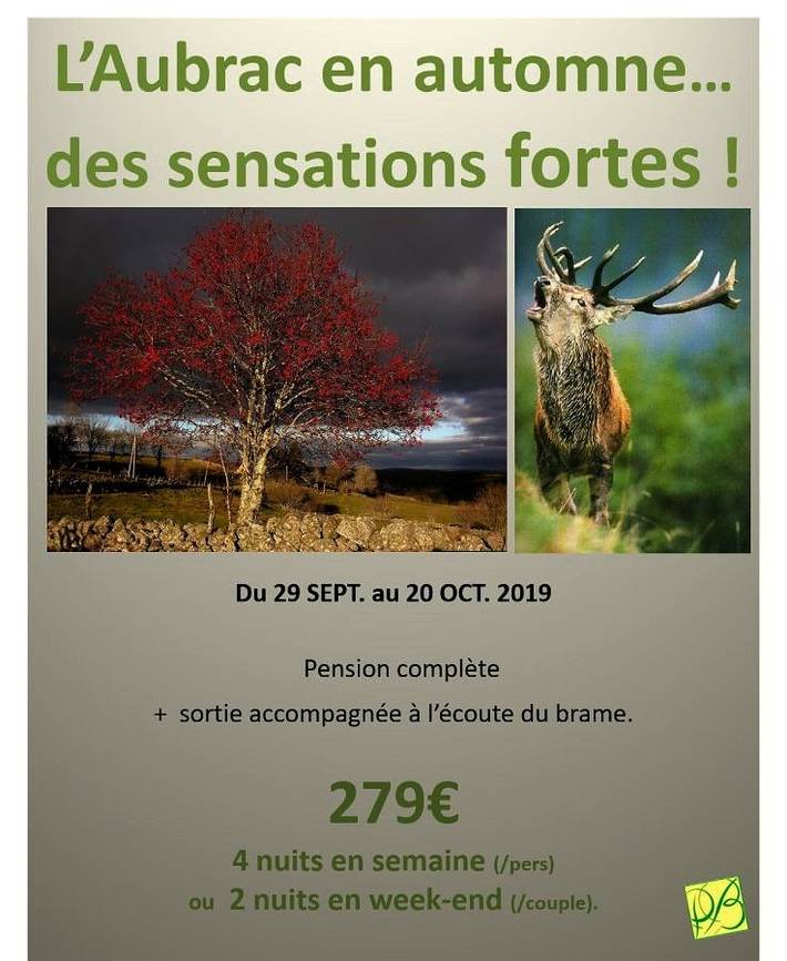 Hôtel pour 3 personnes, avec jardin, animaux acceptés à Nasbinals - 2