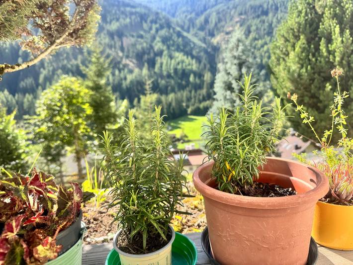 Quarto 'Haus Kristall - Double' com vista para a montanha, jardim partilhado e Wi-Fi in Muhlwald, Alpes de Zillertal