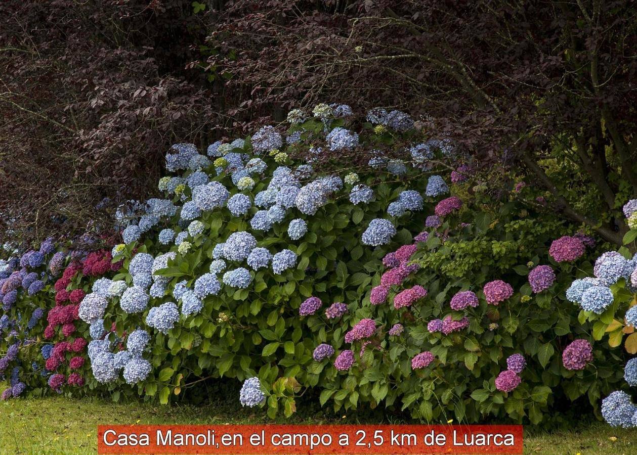 Casa Manoli Luarca in Barcia (Valdes), Valdés 