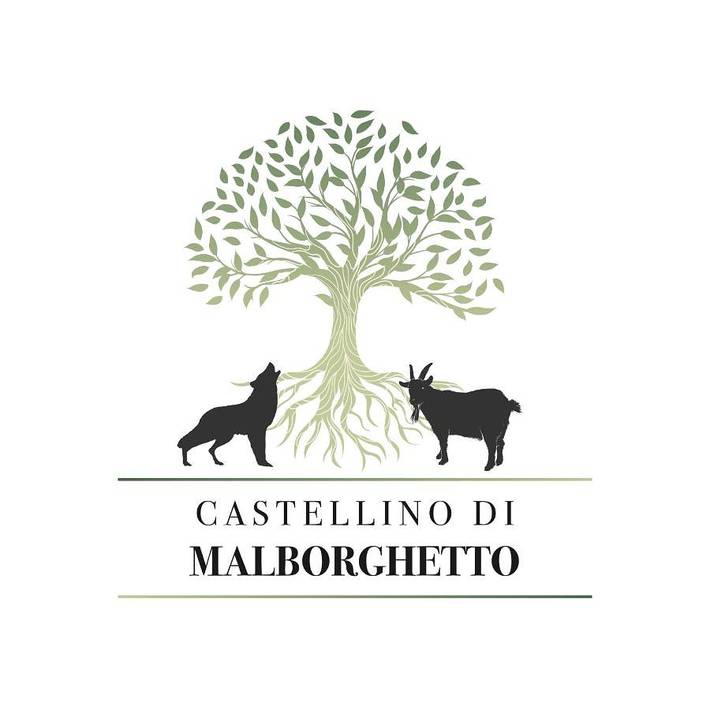Appartamento per 4 persone, con Terrazza e Giardino nonché Panorama a Montelupo Fiorentino