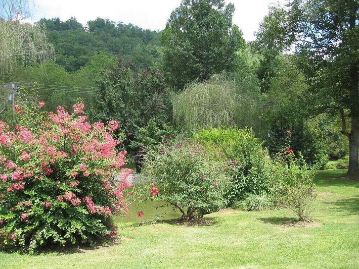 Log cabin for 6 people, with yard in Georgia