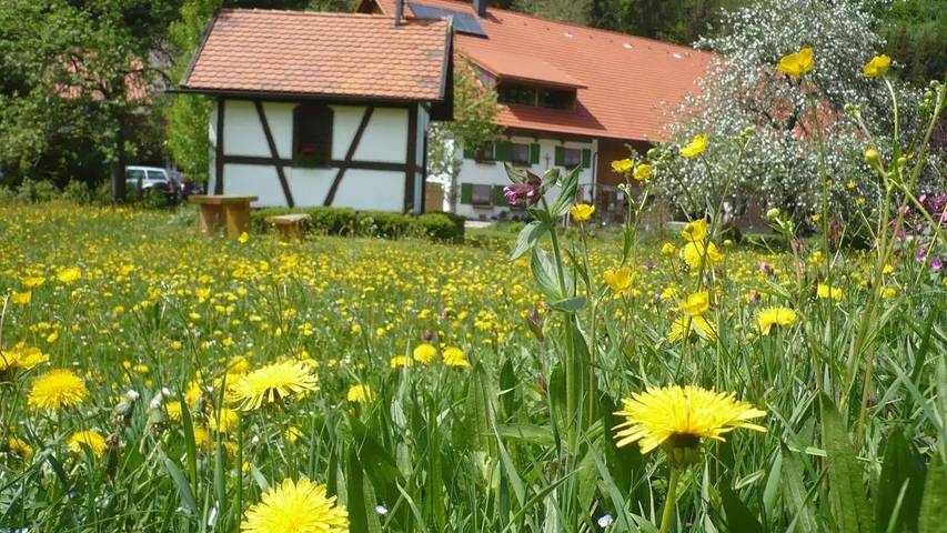 Bauernhof für 5 Personen, mit Balkon