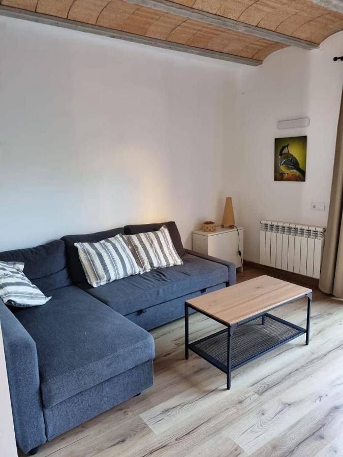 Gîte pour 6 personnes, avec vue et jardin à Sant Joan de les Abadesses - 4