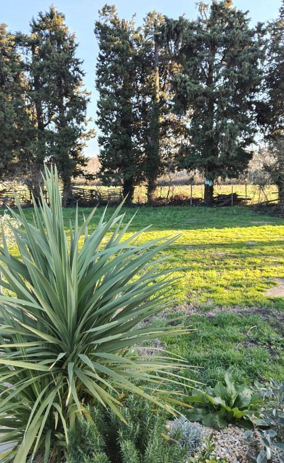 Camping pour 1 personnes - 1