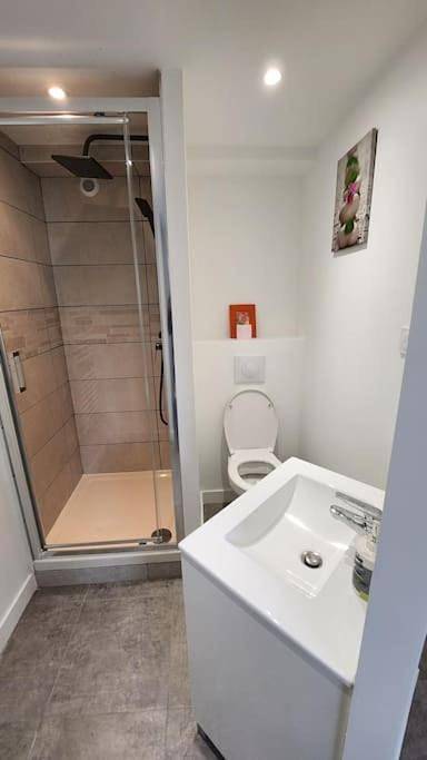 Gîte pour 3 personnes, avec jardin à Seysses - 3