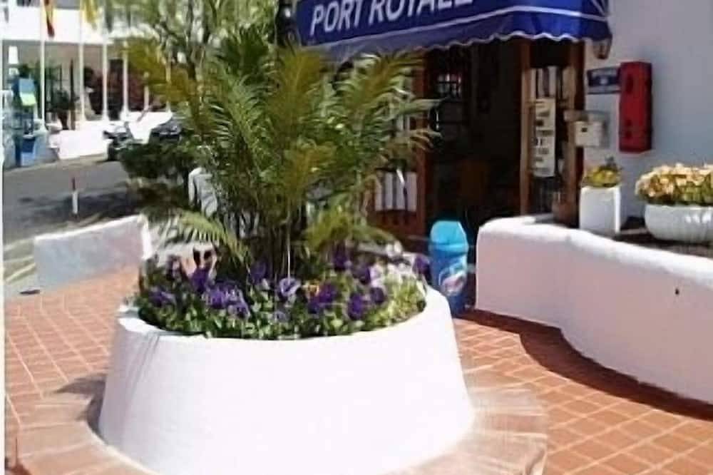 Geheel appartement, Studio in prachtig complex met nieuw gemeenschappelijk zwembad - Gratis Wifi en Air Con in Los Cristianos, Arona