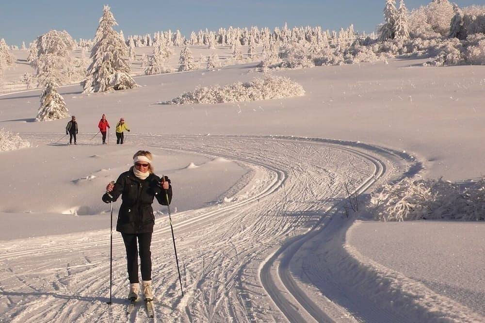 Chaletde montagne indépendant en Alsace Massif du Champ du Feu - Ski resort in Bellefosse, Bas-Rhin Alsace