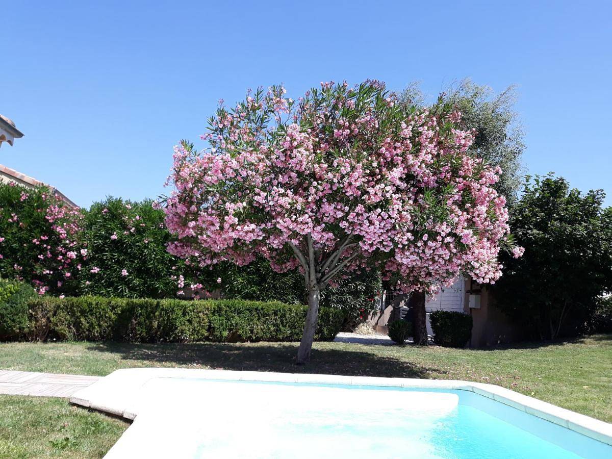 Deluxe Double or Twin Room in Montélimar, Région de nyons
