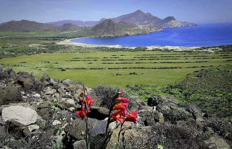 Camping pour 5 personnes, avec piscine ainsi que sauna et terrasse, animaux acceptés en Andalousie - 3