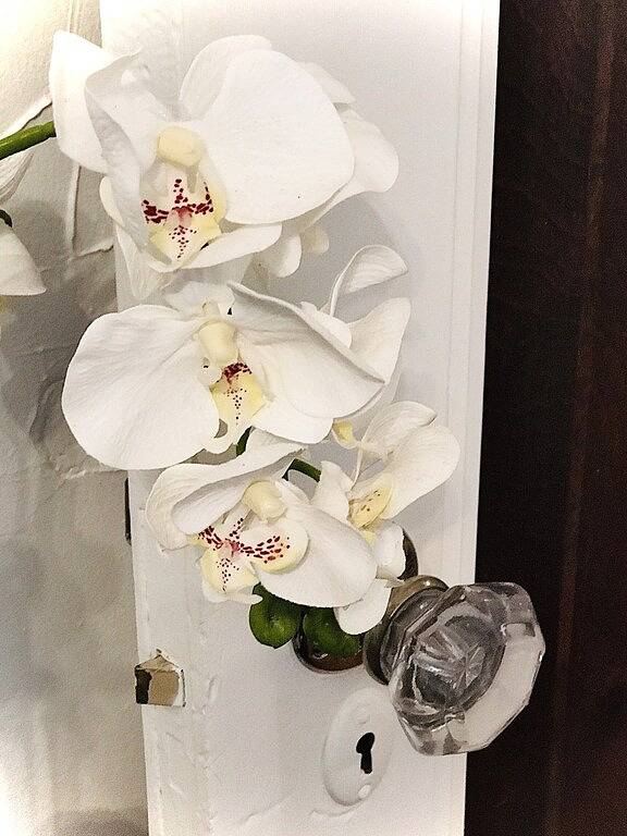 Beautifully renovated craftsman in the heart of Oklahoma City. in Oklahoma City, Oklahoma County