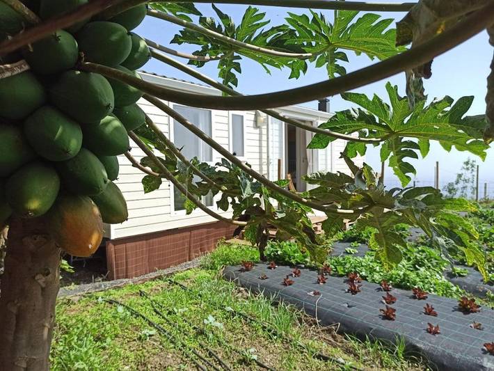 Camping pour 4 personnes, avec vue ainsi que terrasse et jardin aux Canaries - 4
