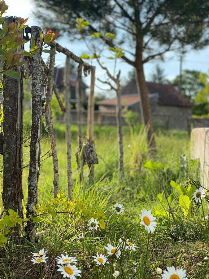 Domaine de Combraille en Marche in Saint-Médard-la-Rochette, Région d'Aubussargues