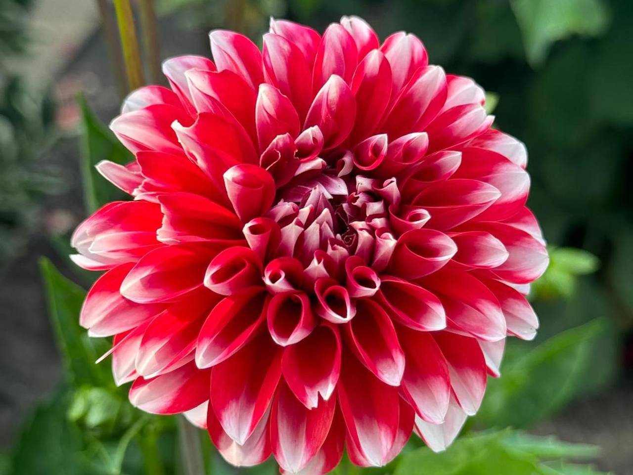 Ganze Ferienwohnung, Ferienwohnung Am Berg - Ferienwohnung Am Berg in Pinzberg, Fränkische Schweiz