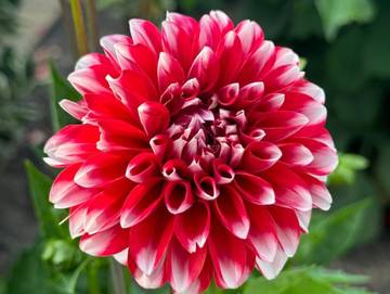 Ferienwohnung für 5 Personen in Pinzberg, Fränkische Schweiz, Bild 2