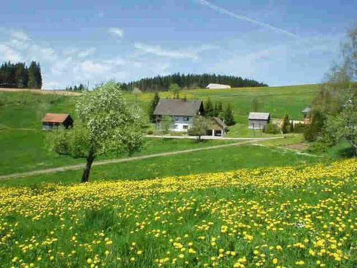Bauernhof für 4 Personen, mit Terrasse und Garten sowie Ausblick und Seeblick in Titisee-Neustadt