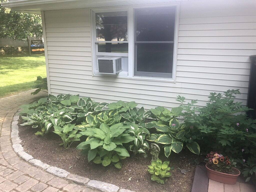 Ruhige Oase Minuten von Stränden, Weinbergen und der Innenstadt von Newport in Middletown, Newport County