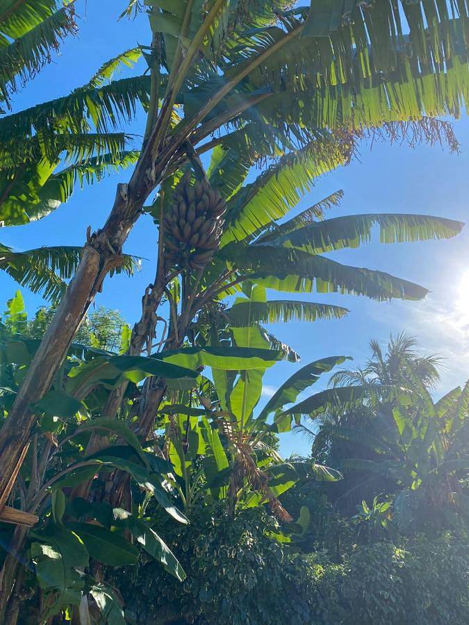 Maison de vacances pour 4 personnes, avec jardin et vue