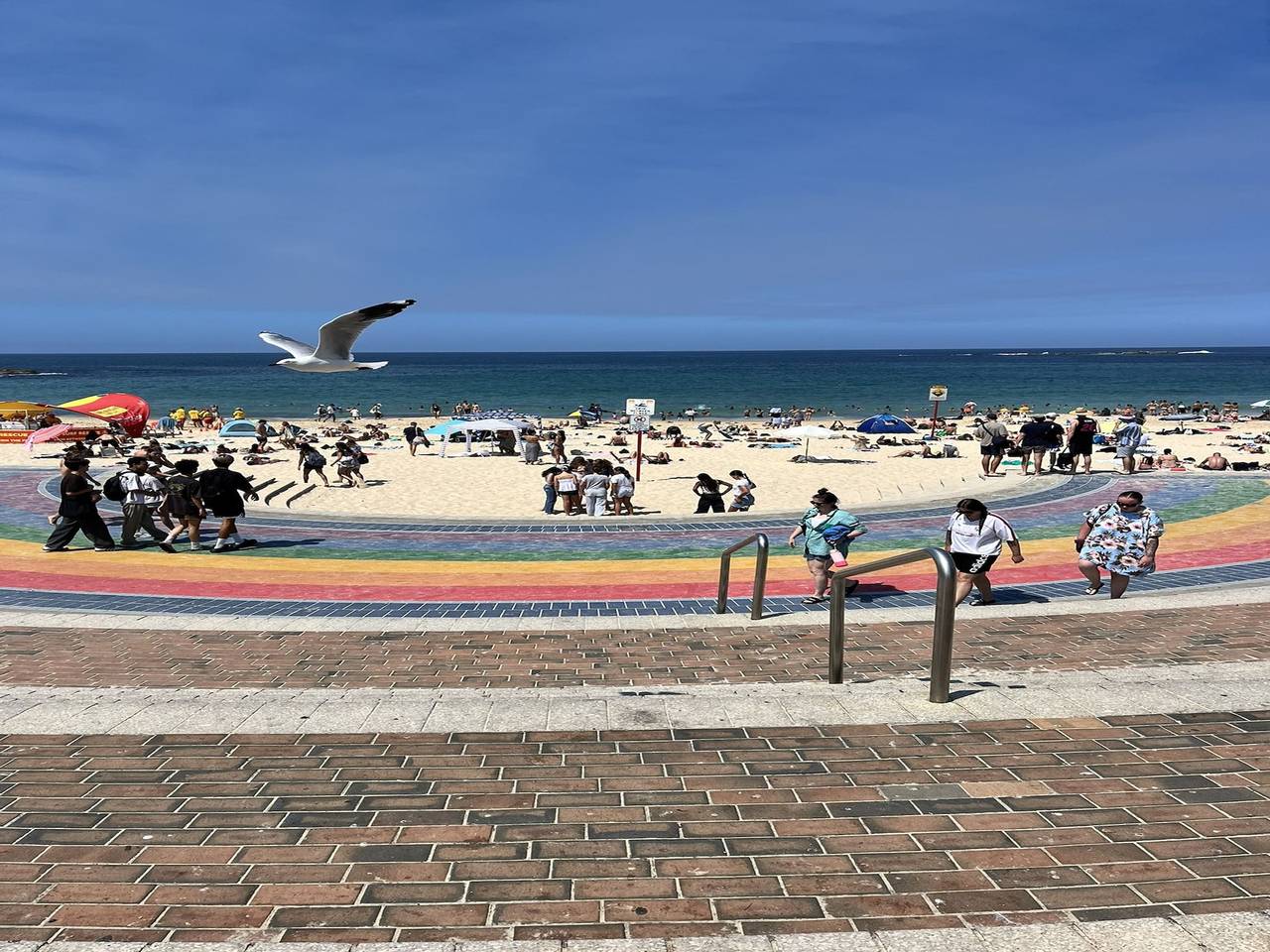 Entire apartment, Bright Studio with Balcony near Coogee Beach in Sydney, New South Wales