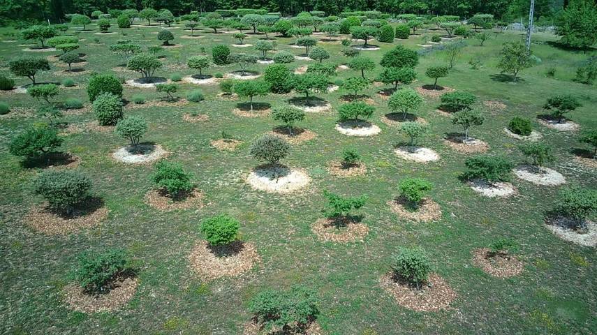 Location de vacances pour 2 personnes, avec vue et jardin, animaux acceptés à Cubjac - 2