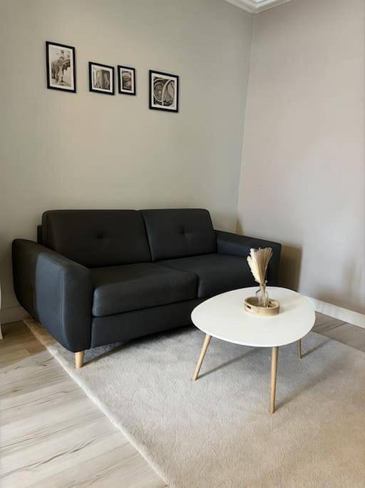 Appartement entier, Maison de ville - 7 couchages in Saint-Pierre-le-Moûtier, Nièvre