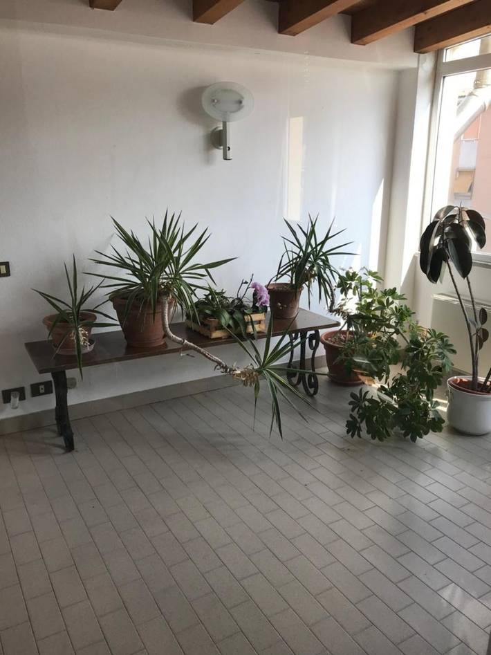 Gîte pour 4 personnes, avec terrasse à Lodi - 3