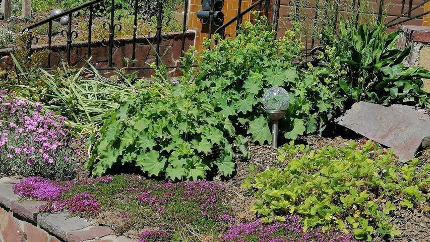 Gîte pour 4 personnes, avec jardin à Mettlach - 4