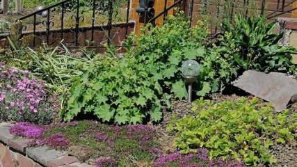 Ferienwohnung für 4 Personen in Saarschleife, Mettlach, Bild 3