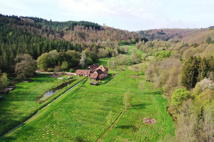 Chambre d’hôte pour 5 personnes, avec jardin et vue sur le lac dans Sarreguemines