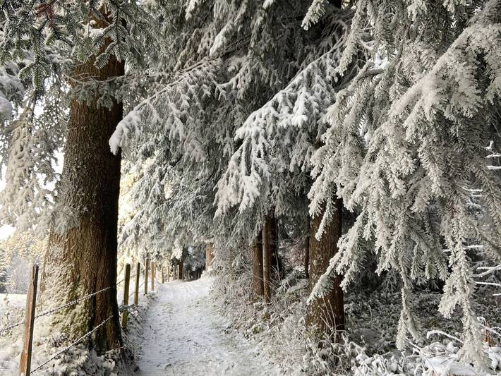 Bauernhaus für 8 Personen, mit Garten und Ausblick sowie Terrasse, kinderfreundlich in Vorarlberg - 2