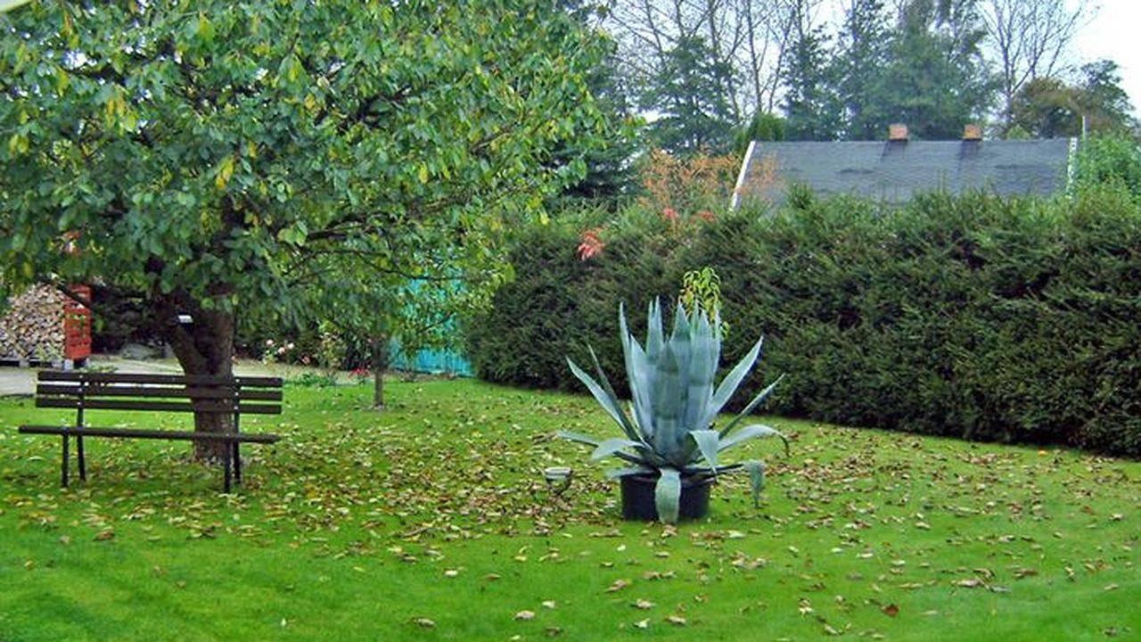 Ferienhaus für 6 Personen (115 m²) in Blankenhagen in Blankenhagen, Rostock und Umgebung