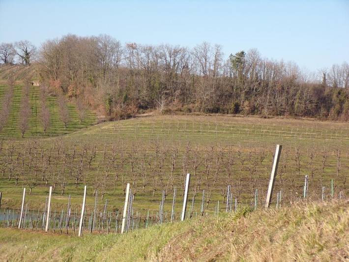 Gîte pour 2 personnes, avec vue ainsi que jardin et piscine à Dieulivol - 3