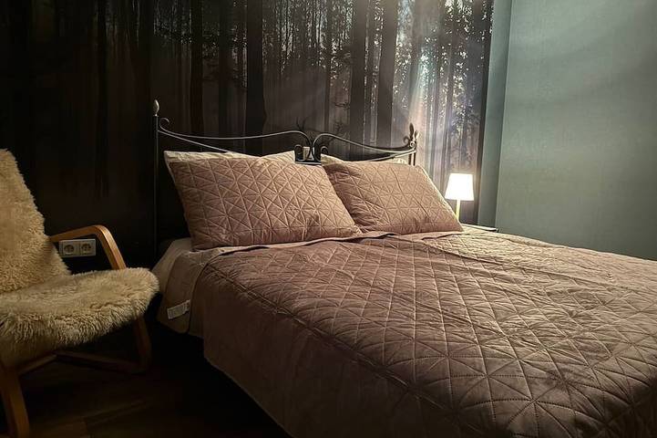 Gîte pour 3 personnes dans Wutoschingen - 3