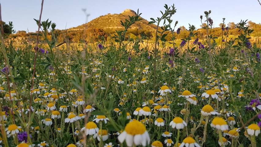 Casa rural para 4 personas, con vistas y jardín, Se admiten mascotas en Provincia de Teruel - 3