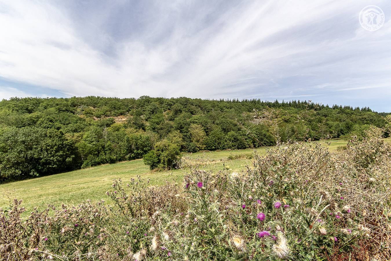 Les Fermes des Thinons in Berzé-le-Châtel, Région de Mâcon