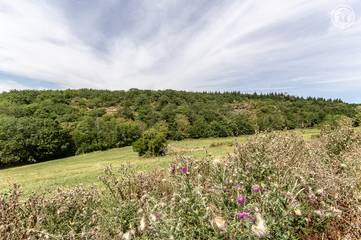 Gîte pour 9 Personnes dans Berzé-le-Châtel, Région de Mâcon, Photo 1