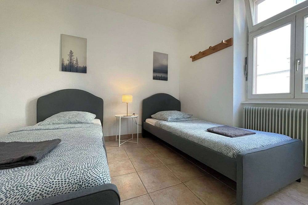 Entire apartment, Gf Central 2 Br w/ Living room + 5mn from Basel in Saint-Louis, Mulhouse region