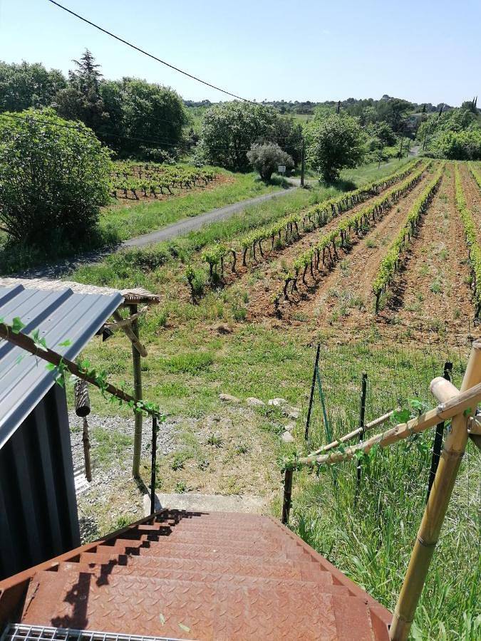 Gîte pour 2 personnes, avec jardin et vue, animaux acceptés à Massillargues-Attuech - 2