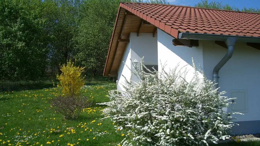 Ferienhaus für 6 Personen, mit Garten und Pool in Uslar - 4