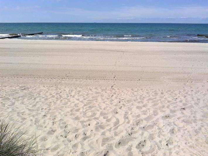 Ferienhaus für 4 Personen, mit Garten und Terrasse, kinderfreundlich in Graal-Müritz - 4