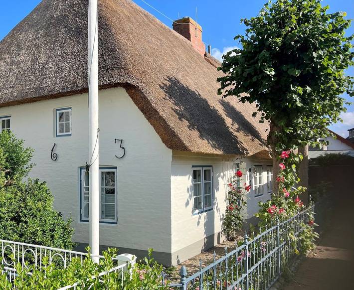 Ferienhaus für 4 Personen, mit Terrasse und Sauna, mit Haustier in Wyk auf Föhr (Stadt) - 3