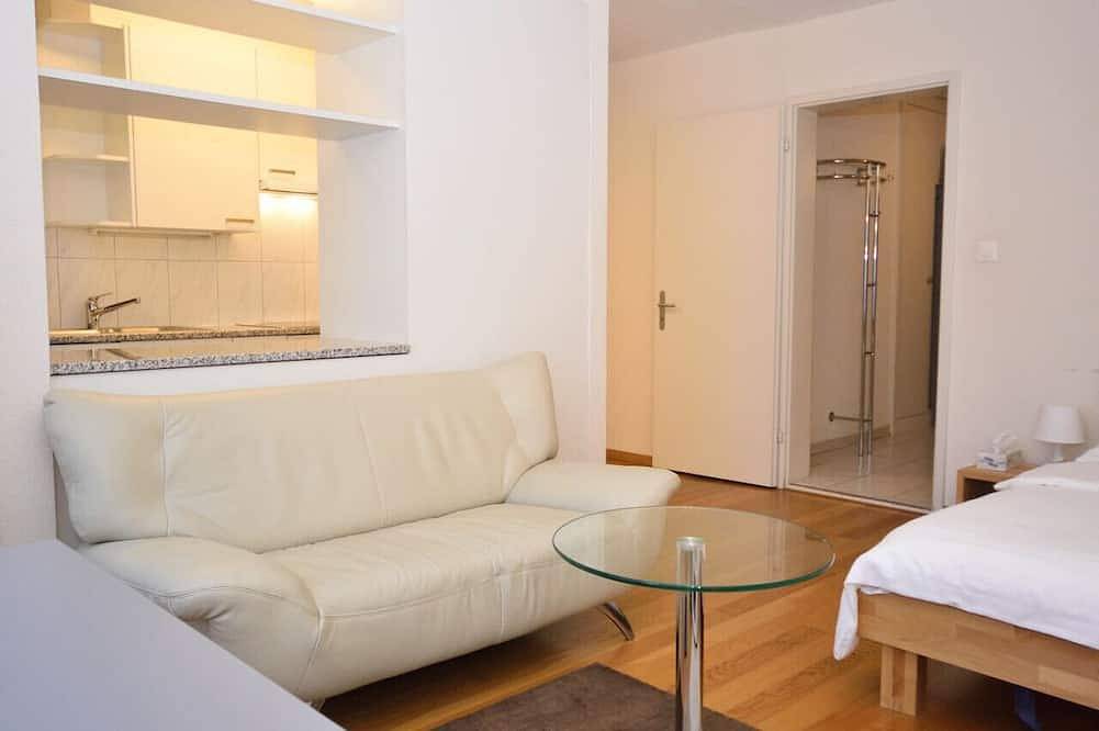 Entire apartment, Nice studio in the city center (Vineyard 11) in Zurich, Zurich district