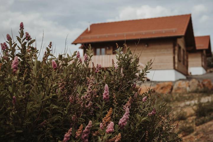 Chalet « Oberwald 3 » avec terrasse privée, jardin, sauna, Wi-Fi et parking in Schotten, Région de Vogelsberg
