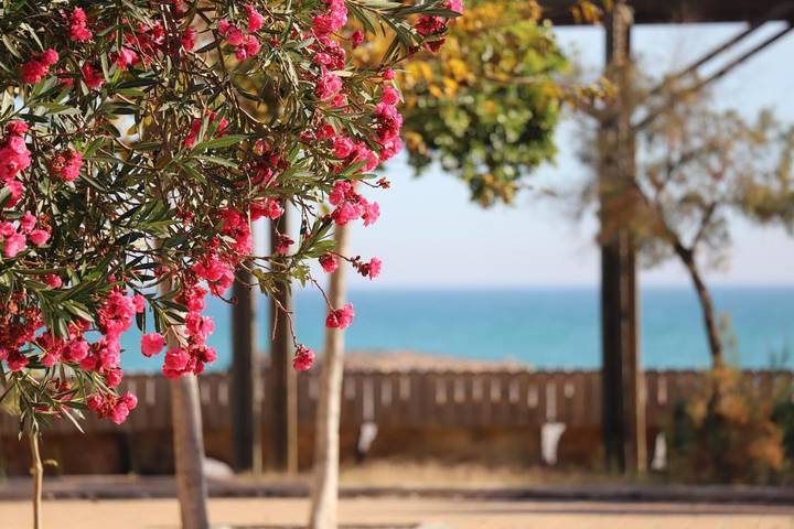 Apartamento para 8 personas, con Balcón y Terraza además de Jardín y Vistas en Almenara