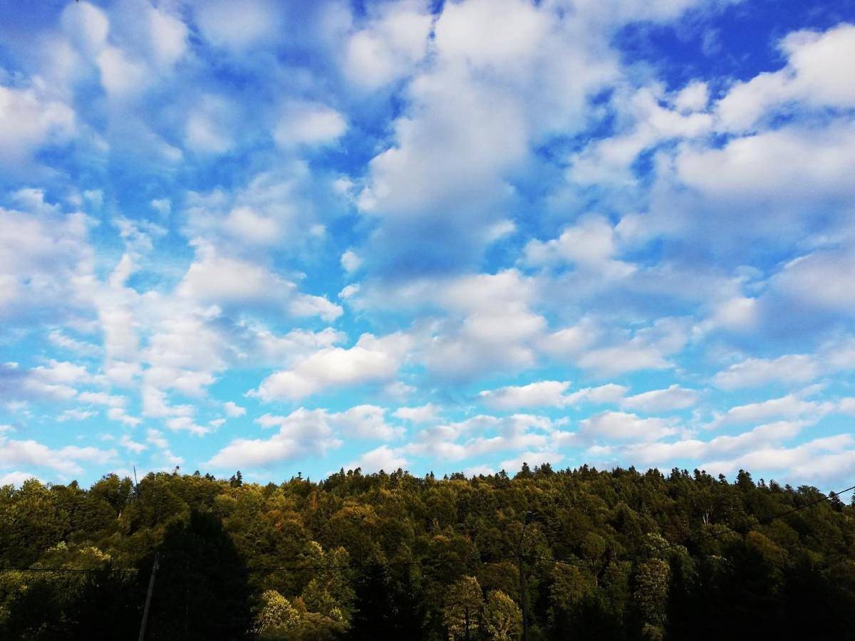 Dom nad Potokiem Dwernik - pokoje z łazienkami in Bieszczady