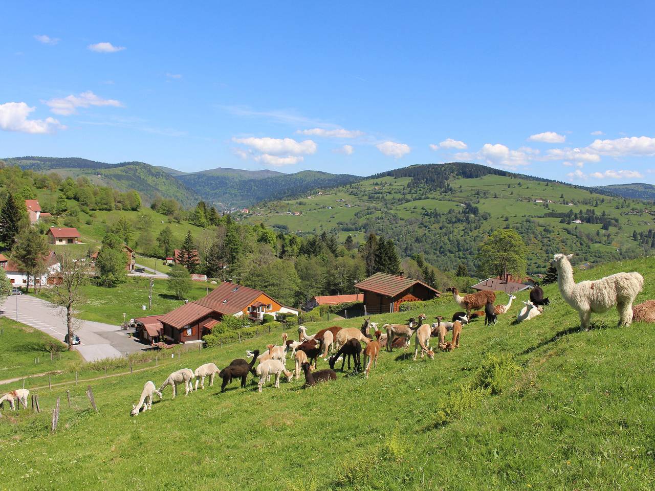 Familienchalet in La Bresse, nahe Wanderwegen, Wifi, Haustiere erlaubt in La Bresse, Regionaler Naturpark Belchen der Vogesen