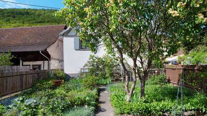 Ferienhaus für 4 Personen in Badenweiler, Hochschwarzwald, Bild 1