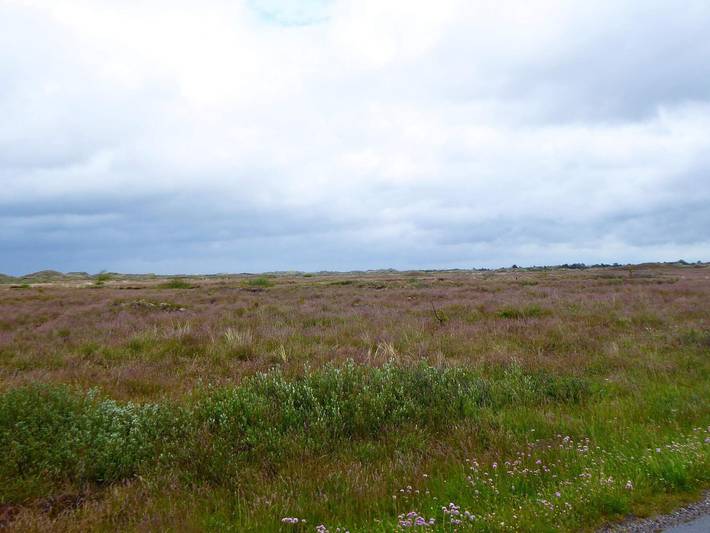 Ferienhaus für 6 Personen, mit Terrasse, kinderfreundlich in Nordostjütland - 3