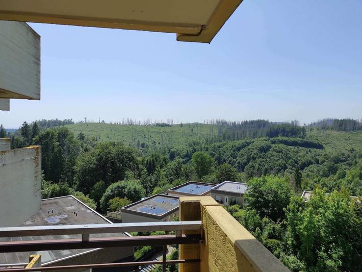 Ferienwohnung für 4 Personen, mit Balkon und Sauna, kinderfreundlich in Hohegeiß - 2